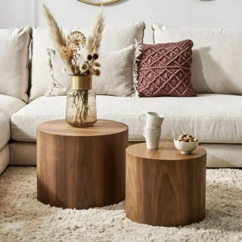 Anzer Twin Coffee Tables/Center Table